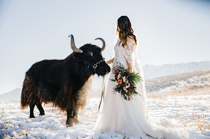 yak-styled-06